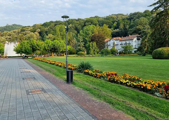 شقة Jelena Ii Banja Koviljača